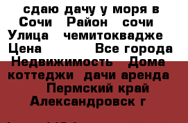 сдаю дачу у моря в Сочи › Район ­ сочи › Улица ­ чемитоквадже › Цена ­ 3 000 - Все города Недвижимость » Дома, коттеджи, дачи аренда   . Пермский край,Александровск г.